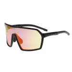 Ochelari de soare fotocromatici sport R2 FACTOR AT111J
